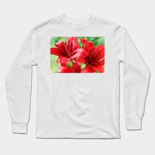 Lilium  'Blackout'  Lily  Asiatic lily Long Sleeve T-Shirt